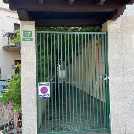 Grape * Sarajevo